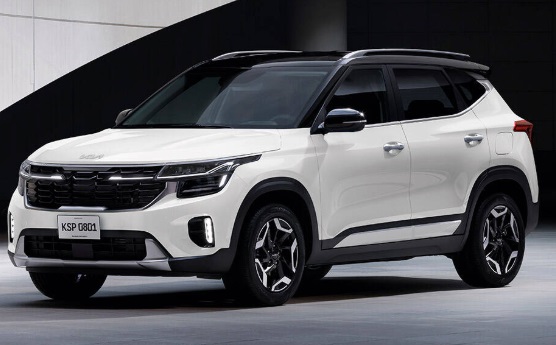 Libro Azul Kia SELTOS 2025