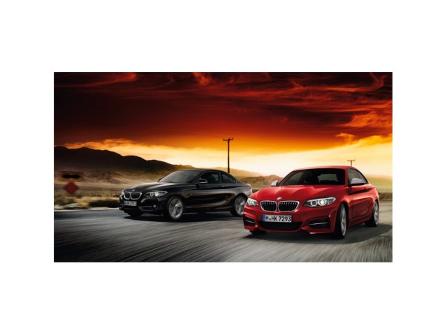 Libro Azul BMW Serie 2 2017