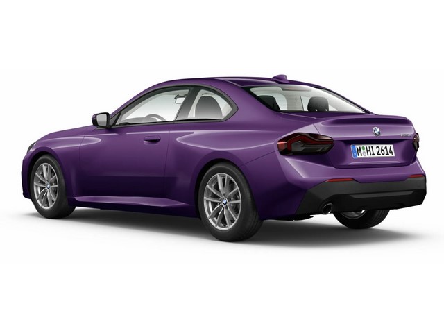 Libro Azul BMW Serie 2 2022