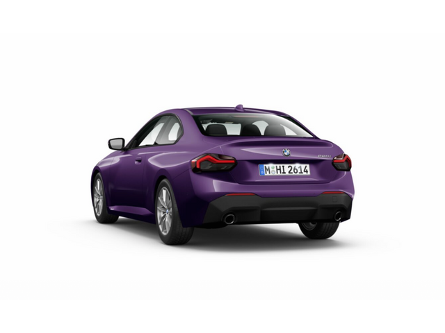 Libro Azul BMW Serie 2 2024
