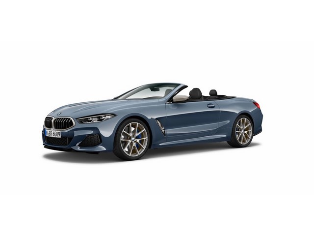Libro Azul BMW Serie 8 2019
