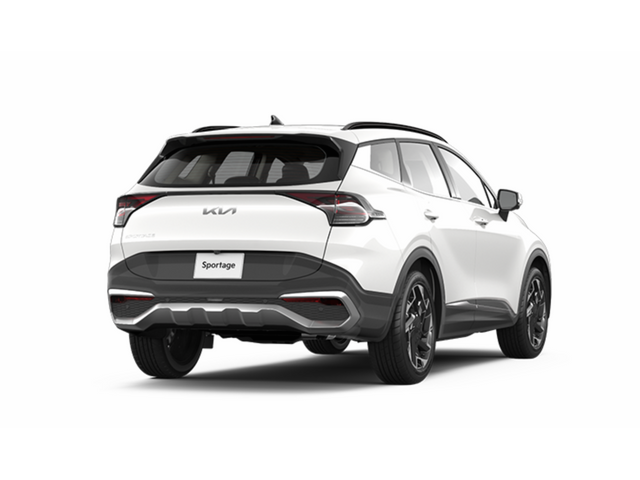 Libro Azul Kia SPORTAGE 2024