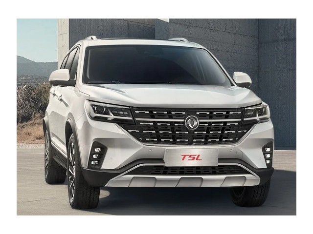 Libro Azul DFAC DongFeng T5L 2025