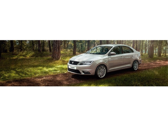Libro Azul Seat Toledo 2019