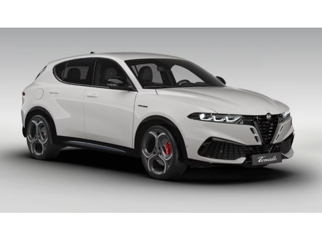Libro Azul Alfa Romeo Tonale 2026