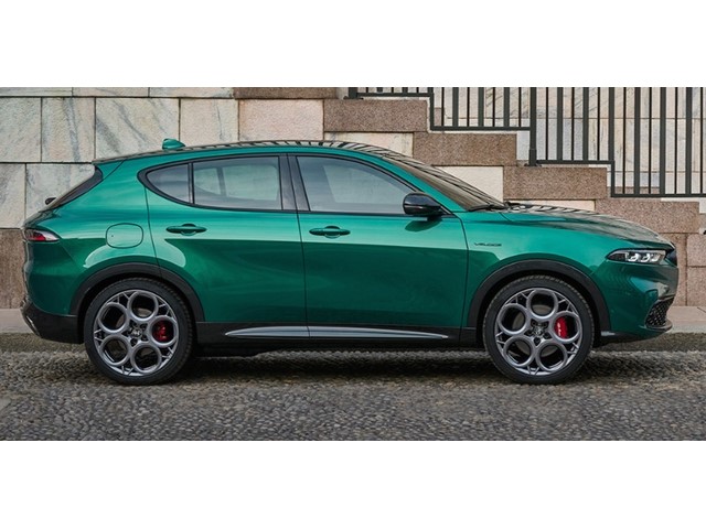 Libro Azul Alfa Romeo Tonale 2024