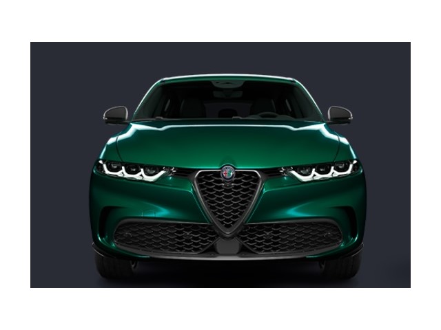 Libro Azul Alfa Romeo Tonale 2024