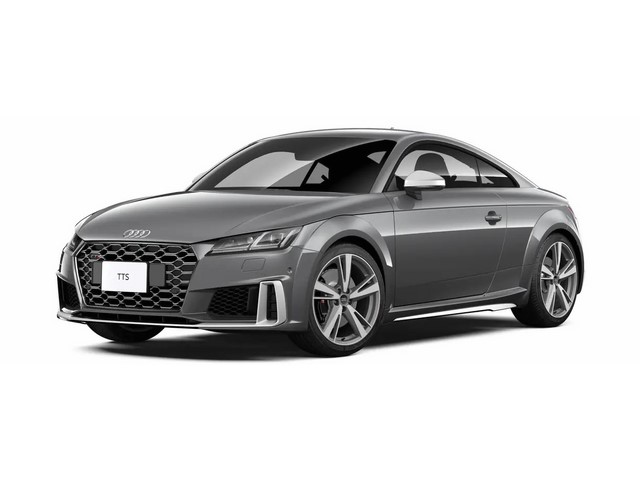 Libro Azul Audi TT 2023