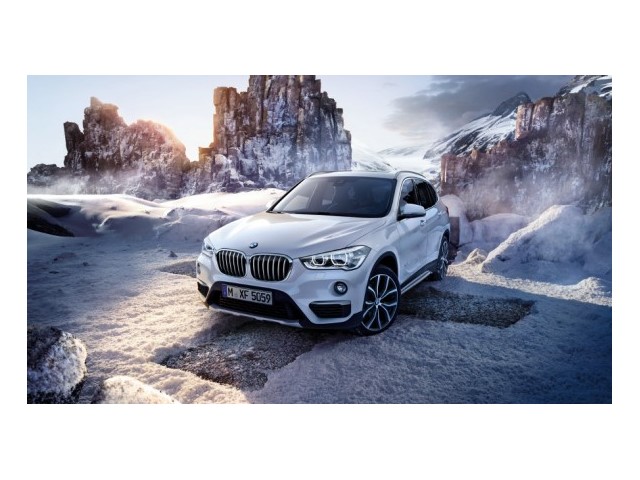 Libro Azul BMW X1 2018