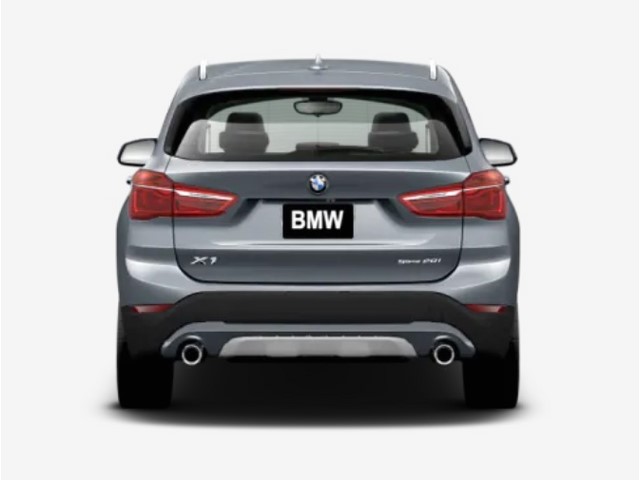 Libro Azul BMW X1 2020