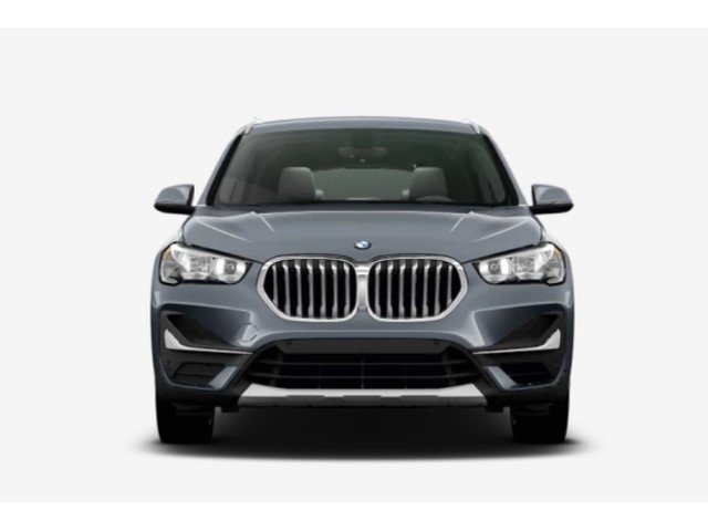 Libro Azul BMW X1 2020