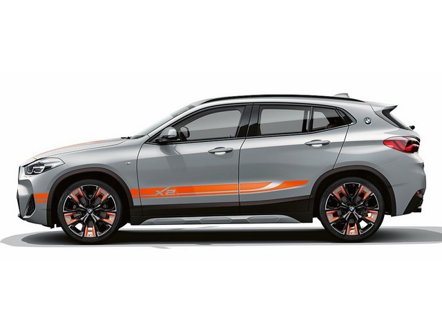 Libro Azul BMW X2 2023
