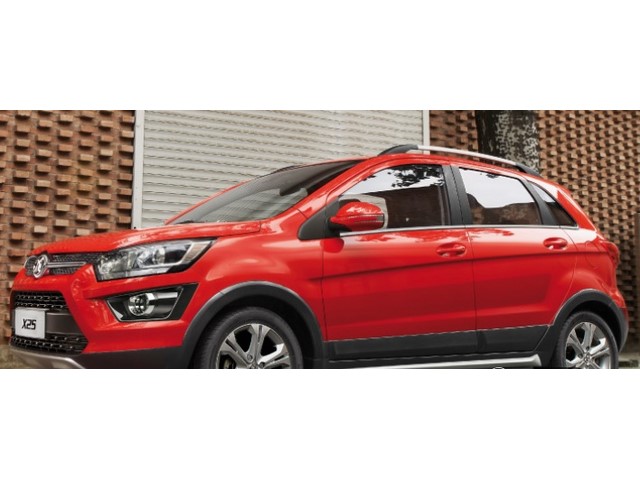 Libro Azul Baic X25 2019