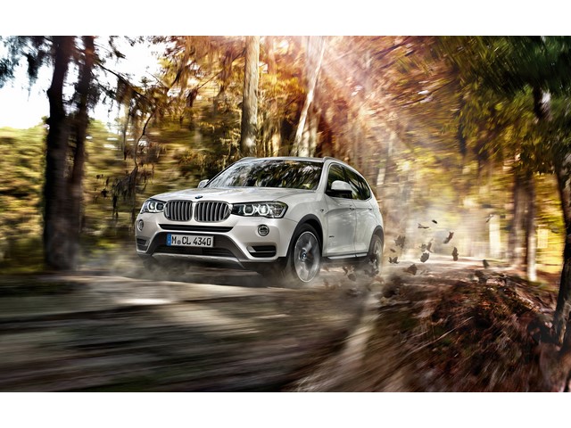 Libro Azul BMW X3 2017