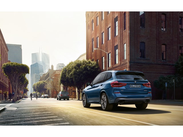 Libro Azul BMW X3 2019