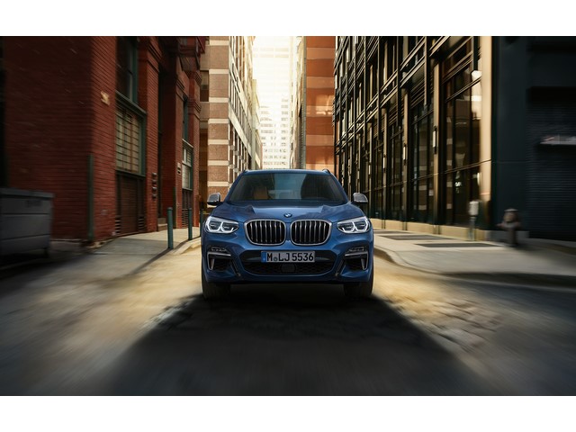 Libro Azul BMW X3 2019