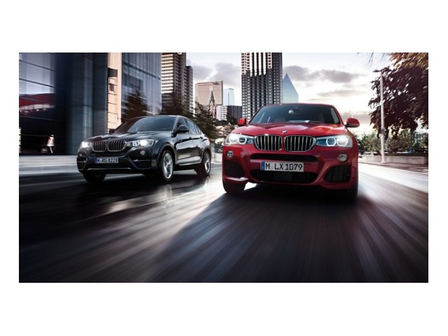 Libro Azul BMW X4 2018
