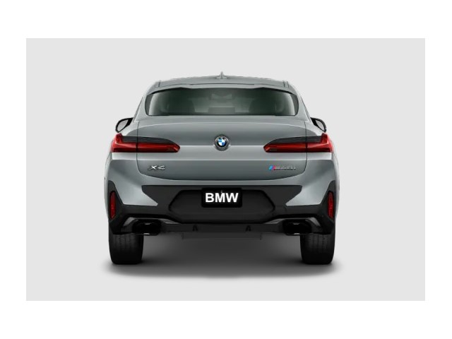 Libro Azul BMW X4 2022