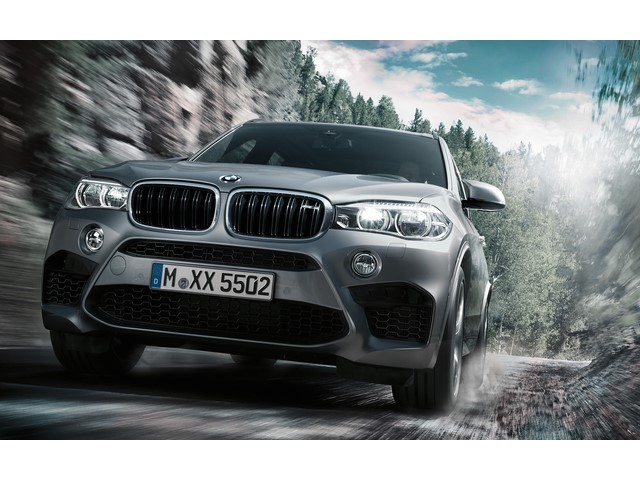 Libro Azul BMW X5 2017