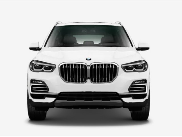 Libro Azul BMW X5 2020