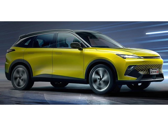 Libro Azul Baic X55 2024