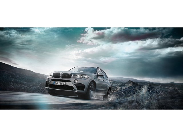 Libro Azul BMW X5 2018