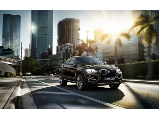 Libro Azul BMW X6 2017