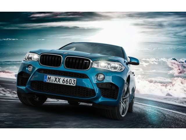 Libro Azul BMW X6 2017