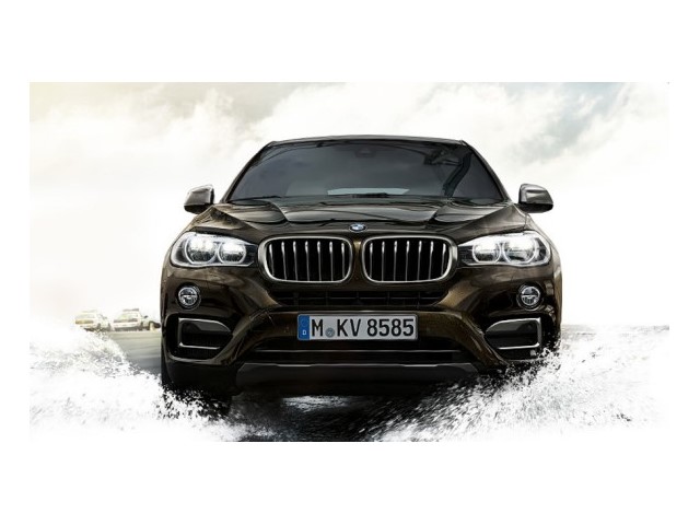 Libro Azul BMW X6 2018