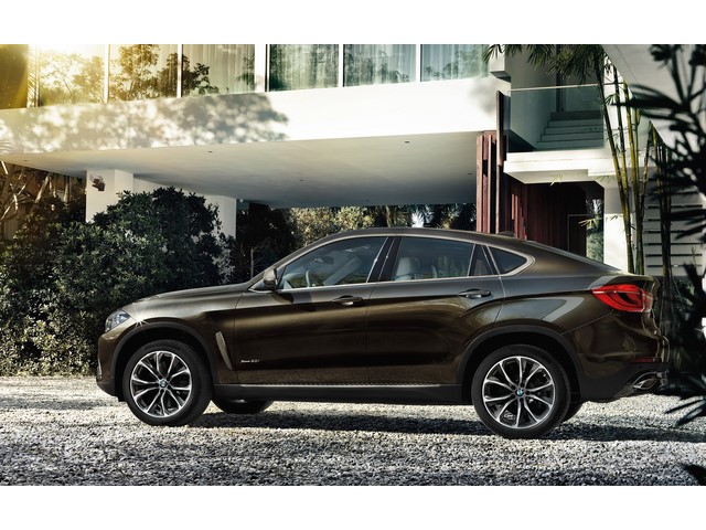 Libro Azul BMW X6 2019