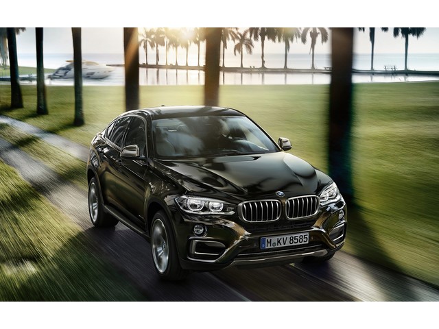 Libro Azul BMW X6 2019