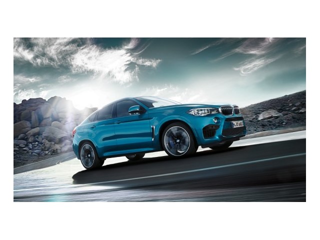Libro Azul BMW X6 2018