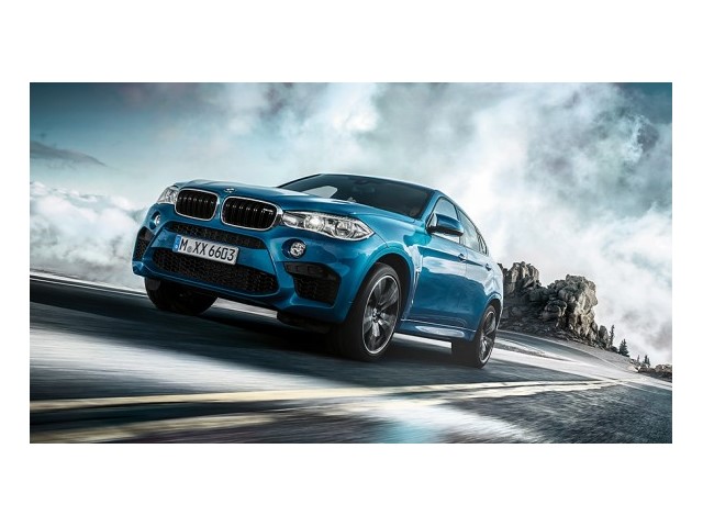 Libro Azul BMW X6 2018