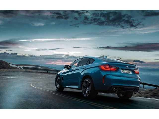 Libro Azul BMW X6 2019