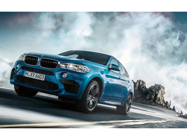 Libro Azul BMW X6 2019