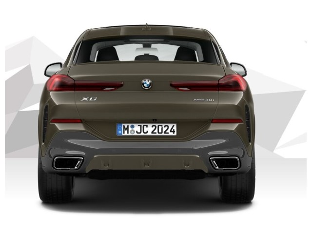 Libro Azul BMW X6 2021
