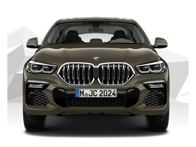 Libro Azul BMW X6 2021