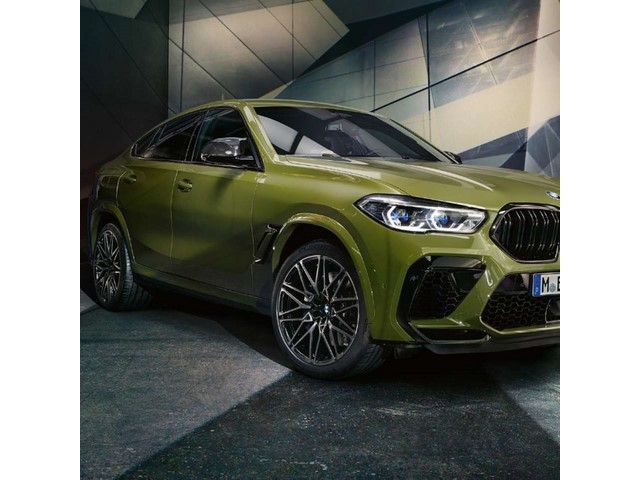 Libro Azul BMW X6 2020