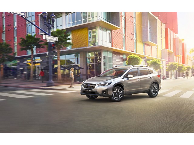 Libro Azul Subaru XV 2019