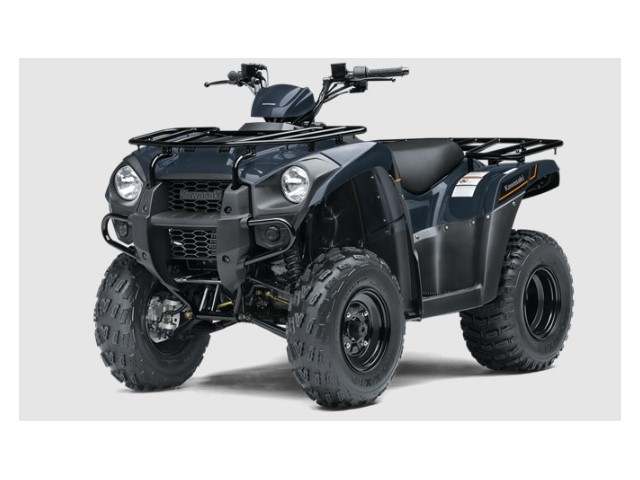 Libro Azul KAWASAKI BRUTE FORCE 300 2025