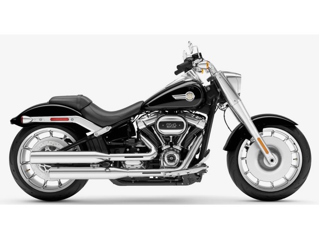 Libro Azul HARLEY-DAVIDSON FLFB SOFTAIL FAT BOY 2025
