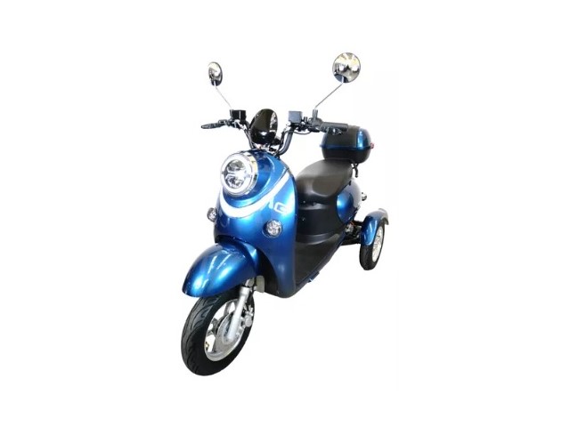 Libro Azul GOLOVOLT XGT 2024