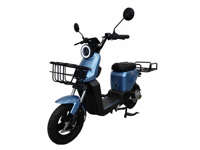 Libro Azul GOLOVOLT Z21 LITIO 2024