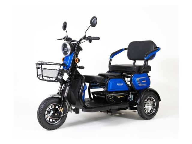 Libro Azul GOLOVOLT ZT2 2024