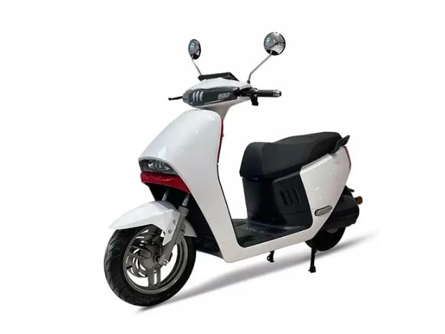 Libro Azul JINPENG GO-PLUS 2024