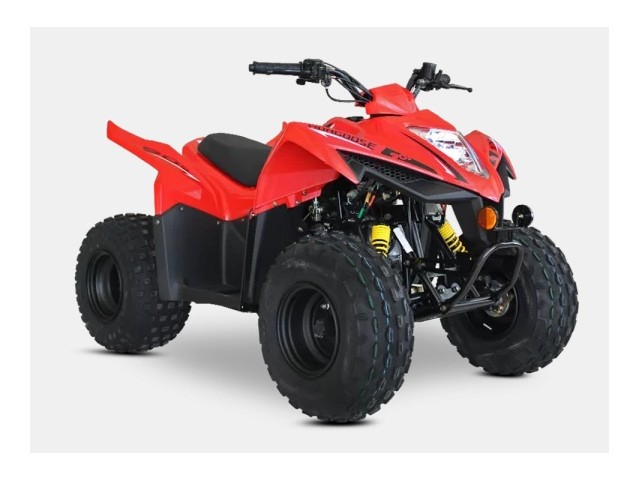 Libro Azul KYMCO MONGOOSE 90 2026
