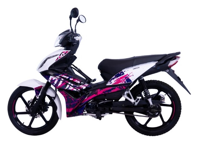 Libro Azul TRECK MOTORS MT 125 2026