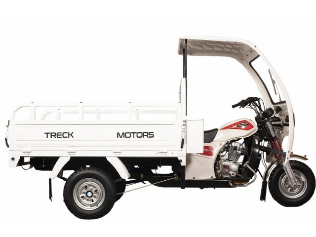 Libro Azul TRECK MOTORS RAMPANTE 250 2026