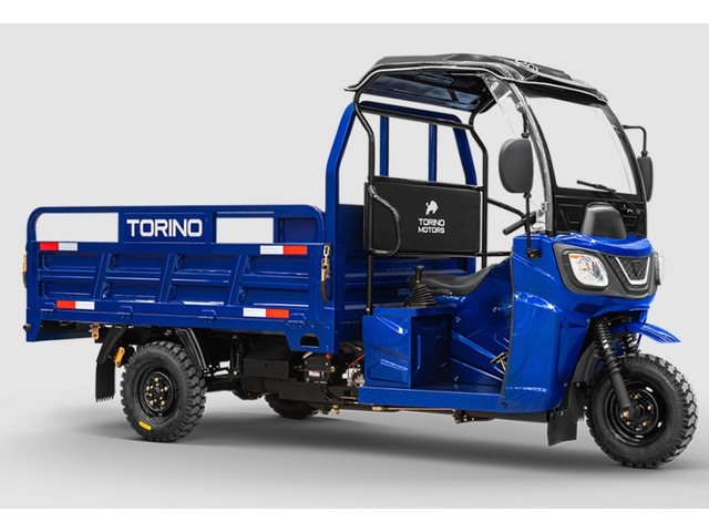Libro Azul TORINA TM FORZA 2025