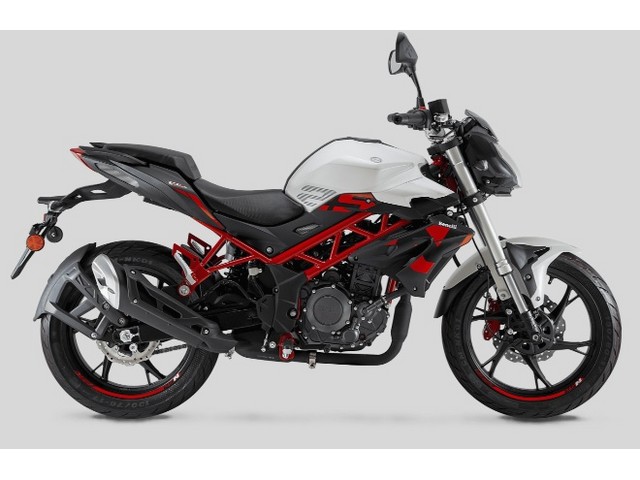 Libro Azul BENELLI TNT 25N 2026